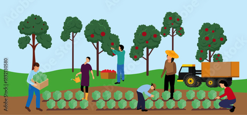 farmer harvesting crops workers picking fruit agriculture farming illustration