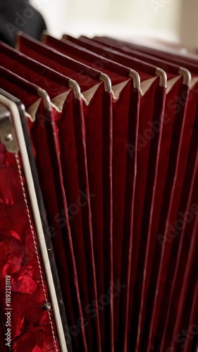 Close Up of Red Accordion Being Played, Music Instrument