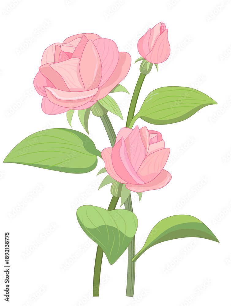 Obraz premium pink rose with leaves