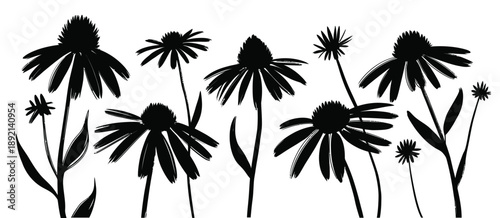 A striking black and white illustration of coneflowers in varying sizes and forms