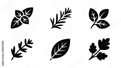 A collection of black silhouette illustrations depicting various types of leaves and herbs