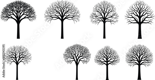 Black silhouette bare winter tree set isolated on white background, leafless deciduous woodland icons for seasonal landscapes, nature design, and botanical projects.