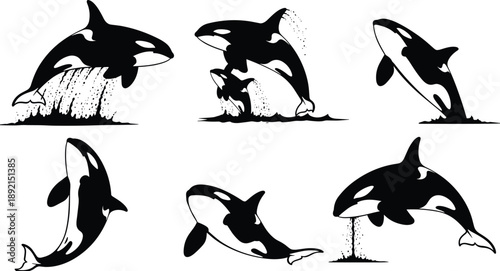 Orca whale silhouettes set, killer whale black icons, jumping orca illustrations, ocean wildlife vector graphics, aquatic mammal symbols isolated on white background, sea
