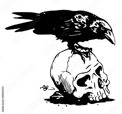 Ominous raven perched on human skull in dark illustration