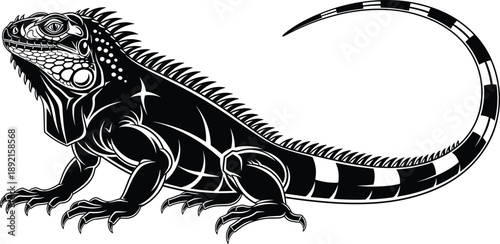 Black and white iguana illustration, detailed reptile line art vector design, exotic lizard wildlife artwork for logos, tattoos, posters, branding