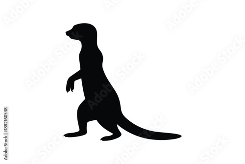 Meerkat silhouette standing on guard looking sideways for wildlife and nature themes design