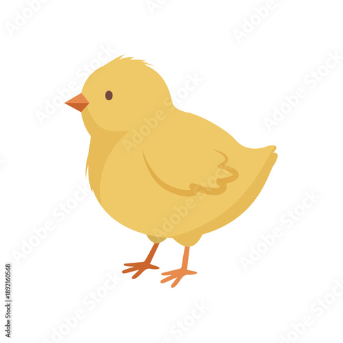 Cute yellow baby chick. Little Easter chicken vector illustration
