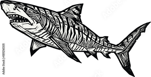 Fierce shark illustration in vintage engraving style, black and white ocean predator artwork, detailed marine wildlife sketch, nautical tattoo logo design