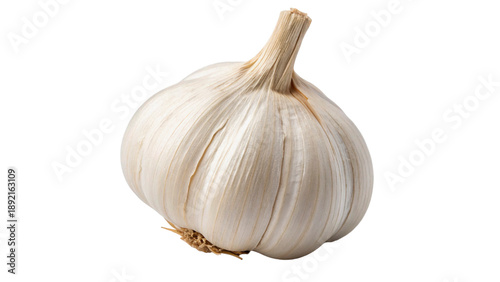 whole garlic bulb isolated on transparent background cut out