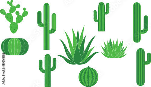 Desert cactus and succulent vector illustration set featuring saguaro prickly pear aloe agave plants, arid landscape botanical collection