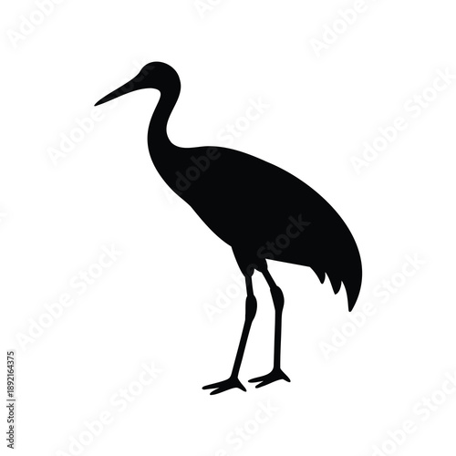 Silhouette of a Standing Crane, A Beautiful Bird Against White Background