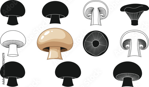 Mushroom icon set illustration, champignon and fungi silhouettes, flat and outline styles, black and white 