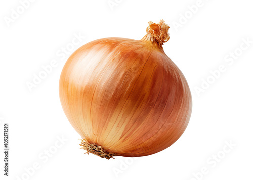 Wallpaper Mural Golden Onion Vegetable isolated on a transparent background Torontodigital.ca