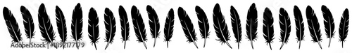 Hand drawn feather border in black ink