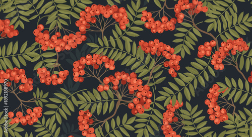 Elegant seamless botanical pattern of rowan or mountain ash branches with bright red berries and green leaves on a dark background.