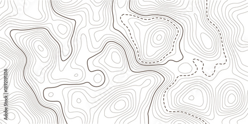 . Abstract mountain terrain map background with abstract shape line texture. Abstract white topography vector background.