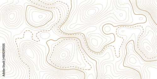 Abstract topo contour map on white background, Topographic map Topographic contour lines map seamless pattern.Design illustration for wall art, fabric, packaging, web, banner, wallpaper.
