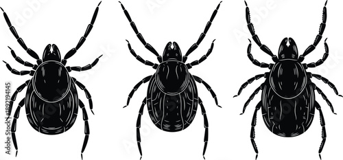Tick insect silhouette illustration set in black and white flat vector style, parasite arthropod graphic collection for biology education, pest awareness, science concepts, and medical design use
