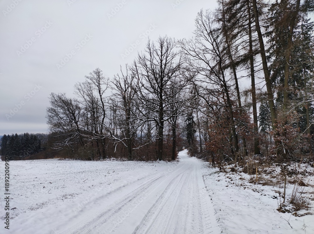 Fototapeta premium Winterspaziergang in der Natur