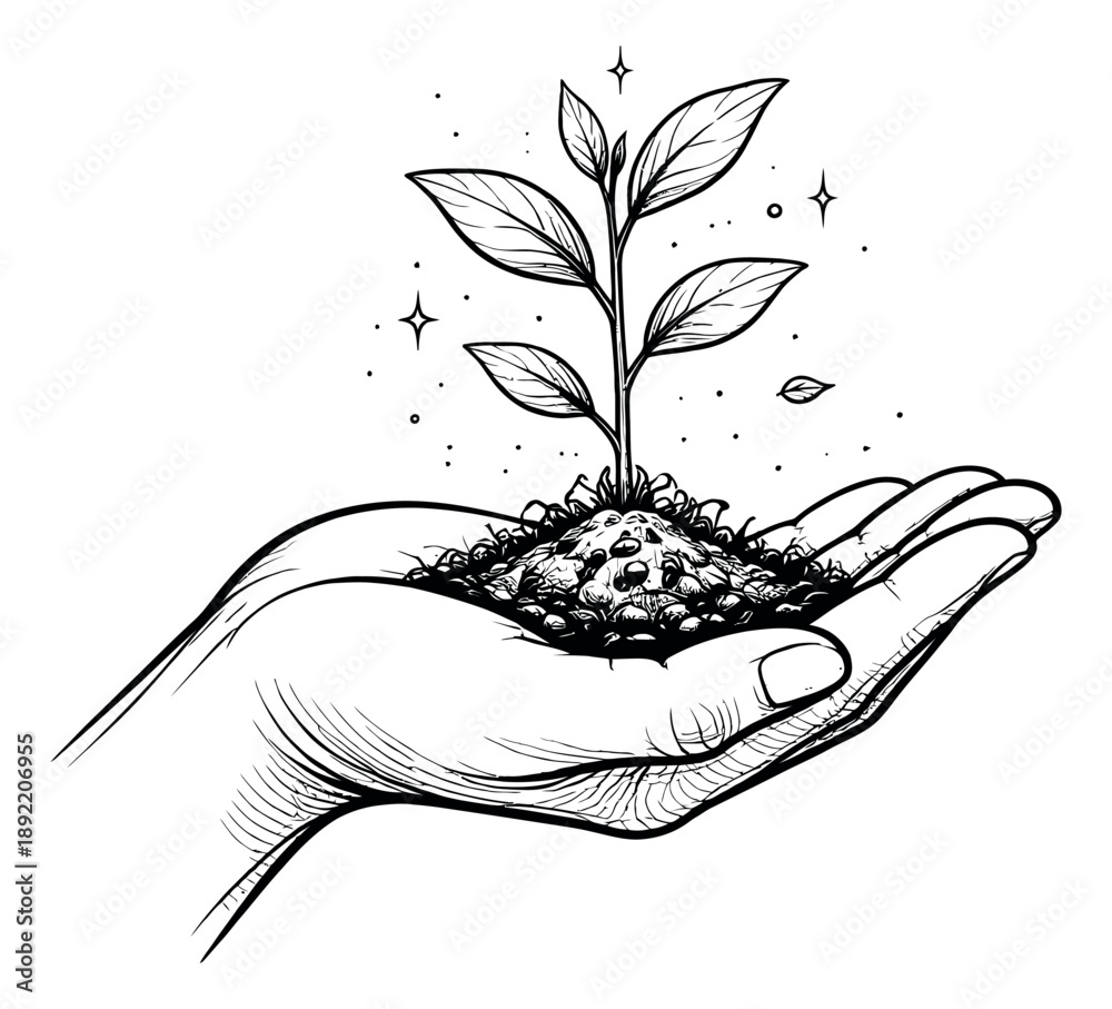 Obraz premium Hand drawn line art illustration of a hand holding a plant in soil depicting growth and sustainability for environmental concepts