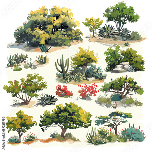 Tableau sur toile Collection of illustrations featuring various native bushes, shrubs, and small trees isolated on a white background