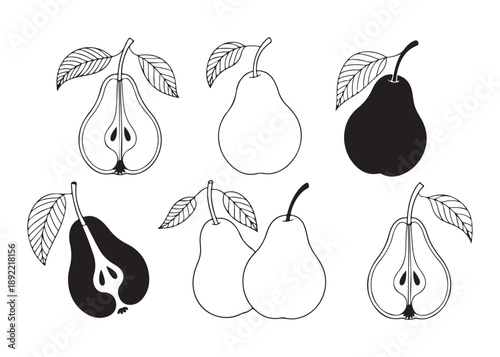 Fotografía Set of black and white pear illustrations, including whole fruits and cross-sect
