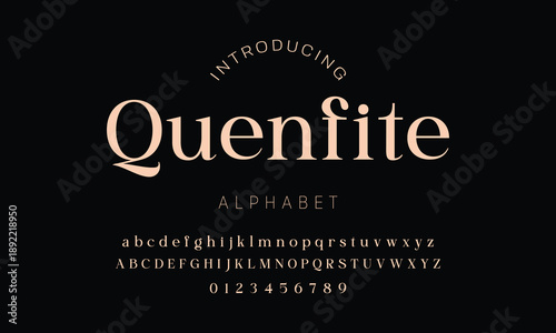 Elegant ligature alphabet letters font logo. Typography luxury classic lettering serif fonts decorative wedding vintage retro logos, design for fashion,beauty shop and brand . vector illustration