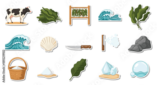 A sticker collection focused on coastal foraging, featuring a cow, various types of seaweed, a drying rack, a knife, and sea salt.