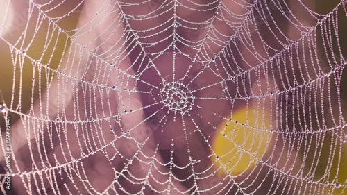 Intricate abstract motion background of delicate spider webs shimmering and catching shifting soft pastel pink and yellow light in a continuous seamless loop minimalist, ethereal, pattern