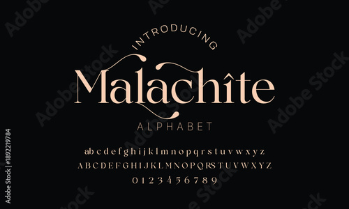 Elegant ligature alphabet letters font logo. Typography luxury classic lettering serif fonts decorative wedding vintage retro logos, design for fashion,beauty shop and brand . vector illustration