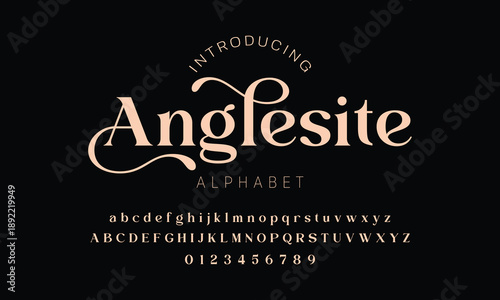 Elegant ligature alphabet letters font logo. Typography luxury classic lettering serif fonts decorative wedding vintage retro logos, design for fashion,beauty shop and brand . vector illustration