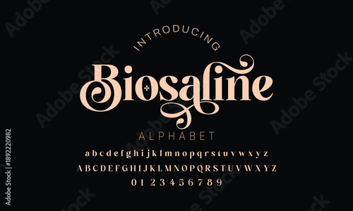 Elegant ligature alphabet letters font logo. Typography luxury classic lettering serif fonts decorative wedding vintage retro logos, design for fashion,beauty shop and brand . vector illustration