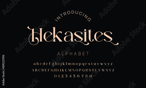 Elegant alphabet beauty logo font. Classic Modern luxury Serif Minimal Fashion. Typography decoration logotype fonts, wedding, logos. vector illustration