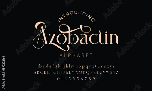 Elegant alphabet beauty logo font. Classic Modern luxury Serif Minimal Fashion. Typography decoration logotype fonts, wedding, logos. vector illustration