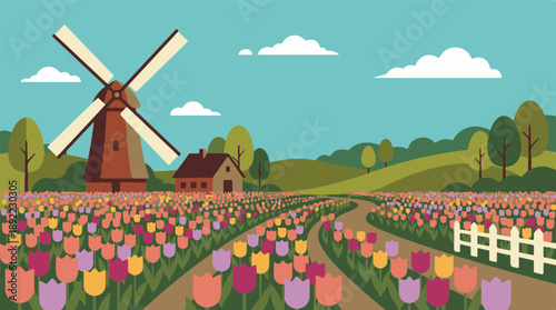 Colorful Tulip Fields with Windmill and House in a Spring Landscape