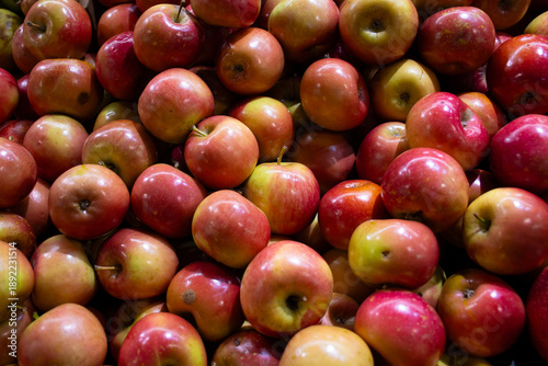 Fresh red apples displaying healthy organic food harvest