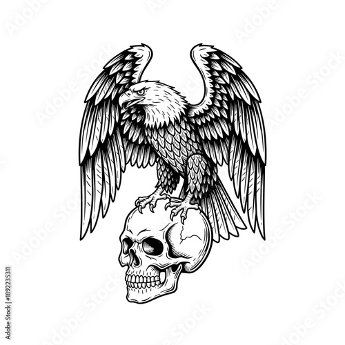 Majestic Eagle Perched on Human Skull Detailed Engraving.