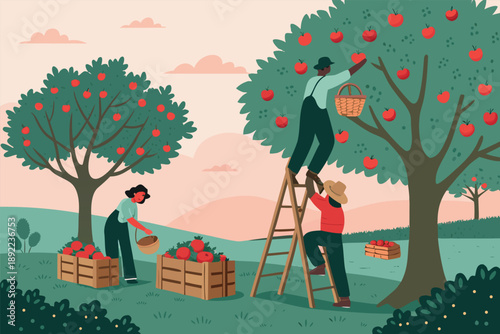 Fruit Orchard Picking Ladder
