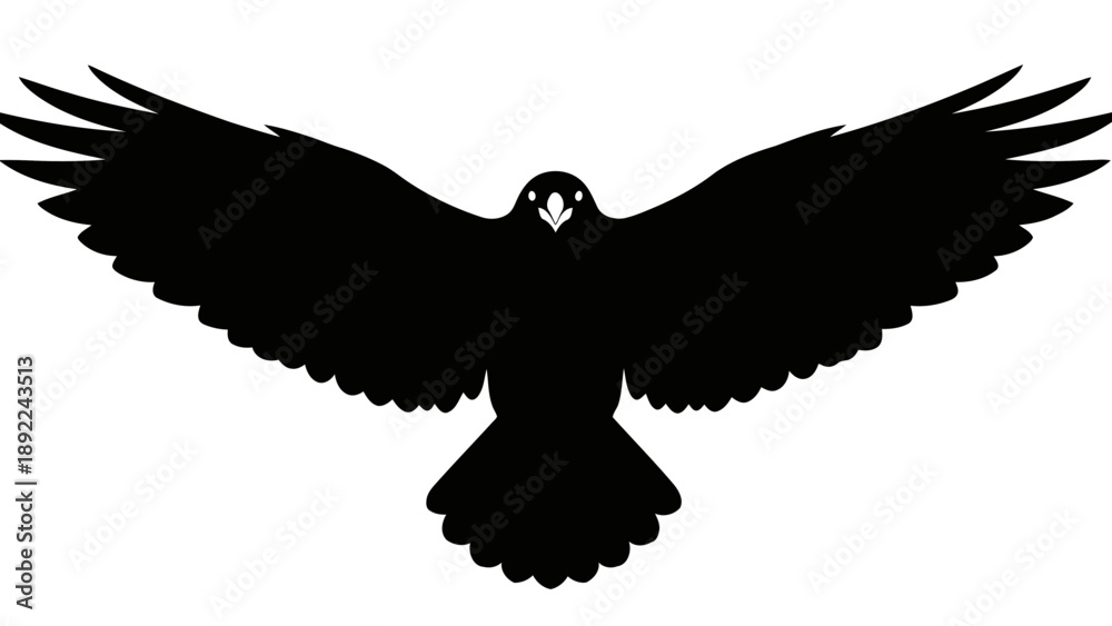 Fototapeta premium Bird silhouette flying high in the air