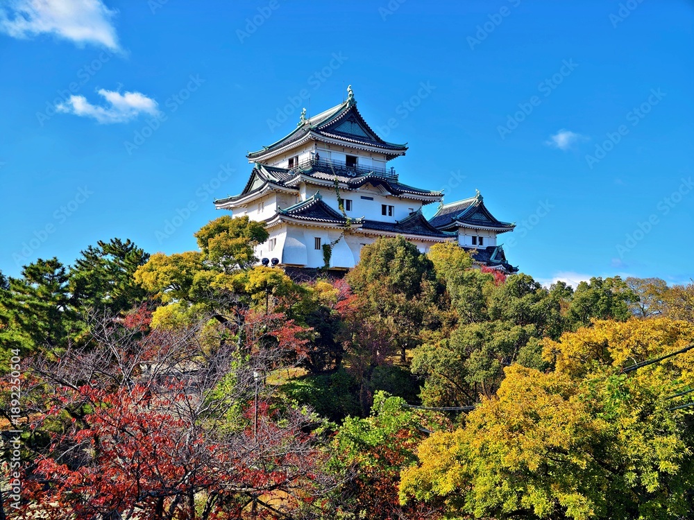 Naklejka premium Wakayama City, Wakayama Prefecture, Japan, Wakayama Castle
