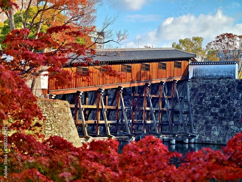 Εκτύπωση καμβά Wakayama City, Wakayama Prefecture, Japan, Wakayama Castle