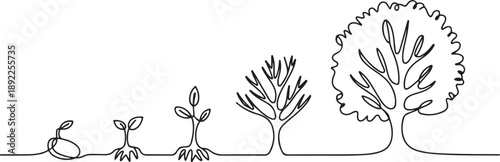 Continuous line drawing of step of tree growth. Vector illustration. one line Art icon drawing vector