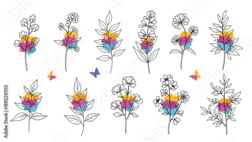 Collection of various floral sketches and leaves overlaid with bright watercolor paint splashes in pink, blue, and yellow for art designs.