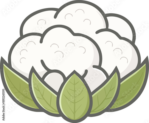 Flat outline cauliflower icon