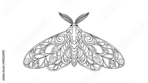 Intricate black and white line art of a moth with highly detailed wing patterns serves as a creative coloring page for children or adults.