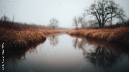 A tranquil scene of a foggy river surrounded by tall grasses and bare trees, reflecting the serene atmosphere of nature.