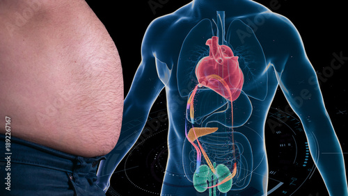Cardiometabolic CKM Syndrome 3D Visualization: Integrated Heart, Kidney, and Pancreatic Health with 4D Flow MRI Data Overlays