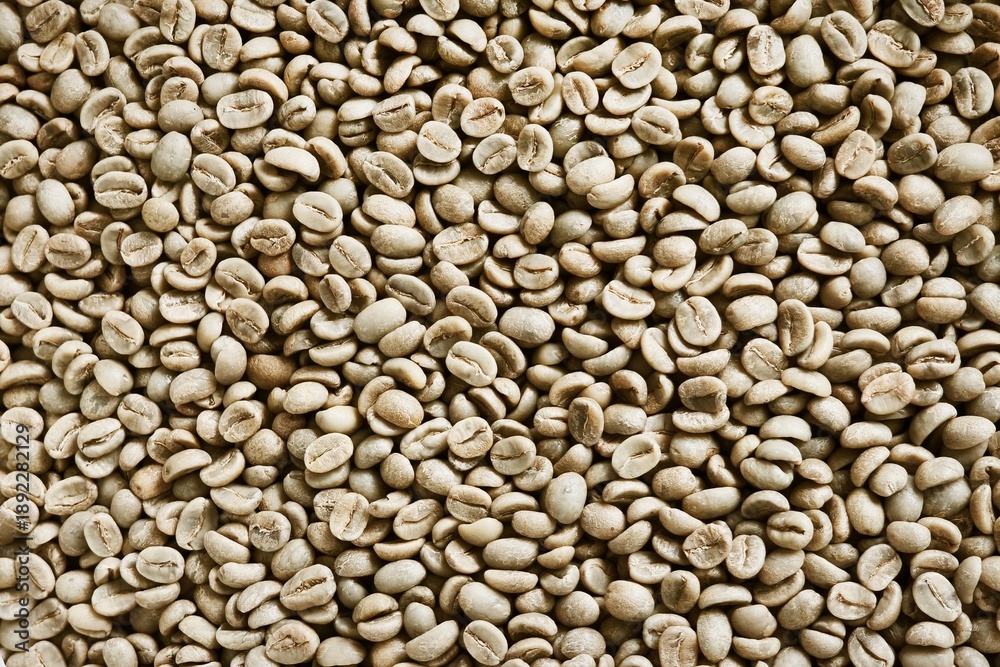 Fototapeta premium Close up of coffee beans for background