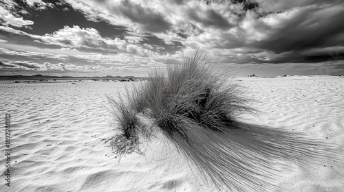 a view of sand on the seashore decorated with small waves and sunlight