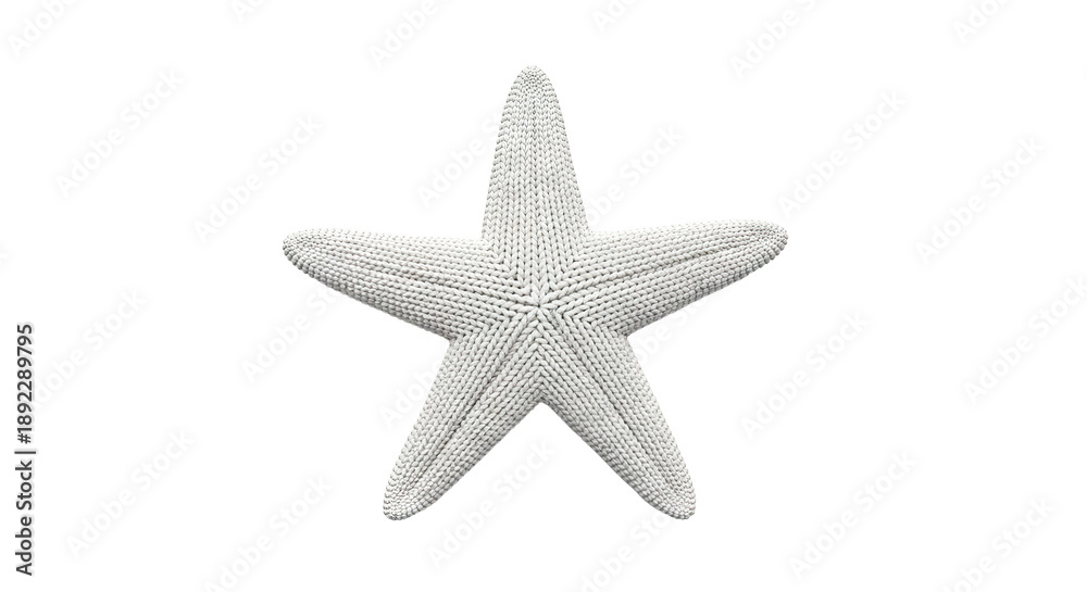 Obraz premium White Starfish Sculpture on White Background